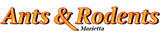 Marietta Ant Exterminator & Rodent Control Company Logo